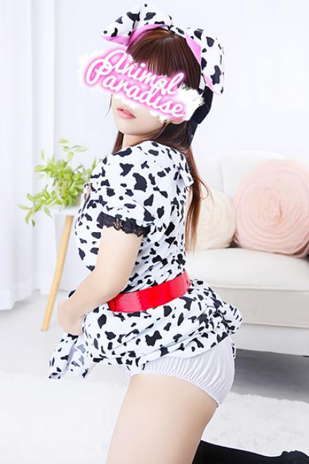 モカのプロフィール写真2